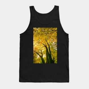 Autumn Leaves - Tree leaves changing colour Tank Top